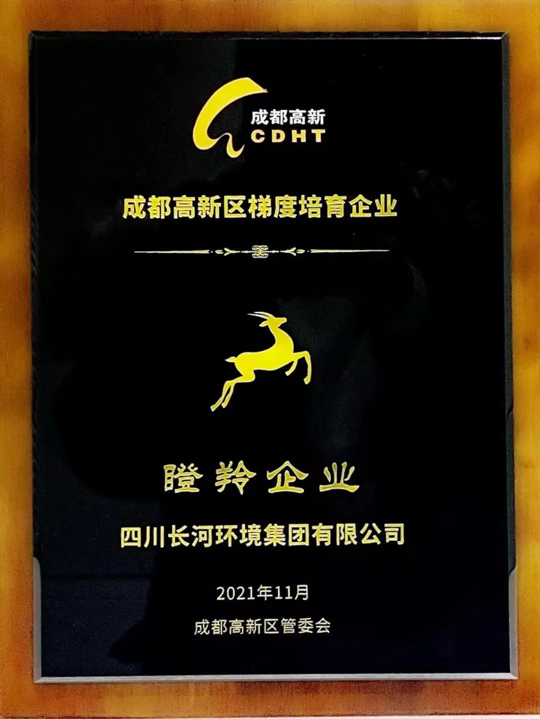 頻獲殊榮 | 四川長(cháng)河環(huán)境集團榮獲成都高新區“瞪羚企業(yè)”